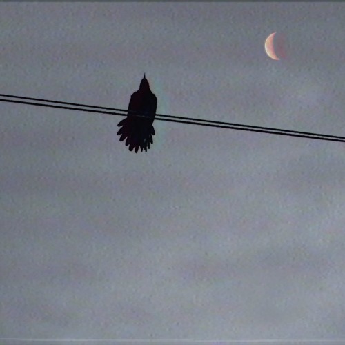 Music: Kirk Knight – Take That